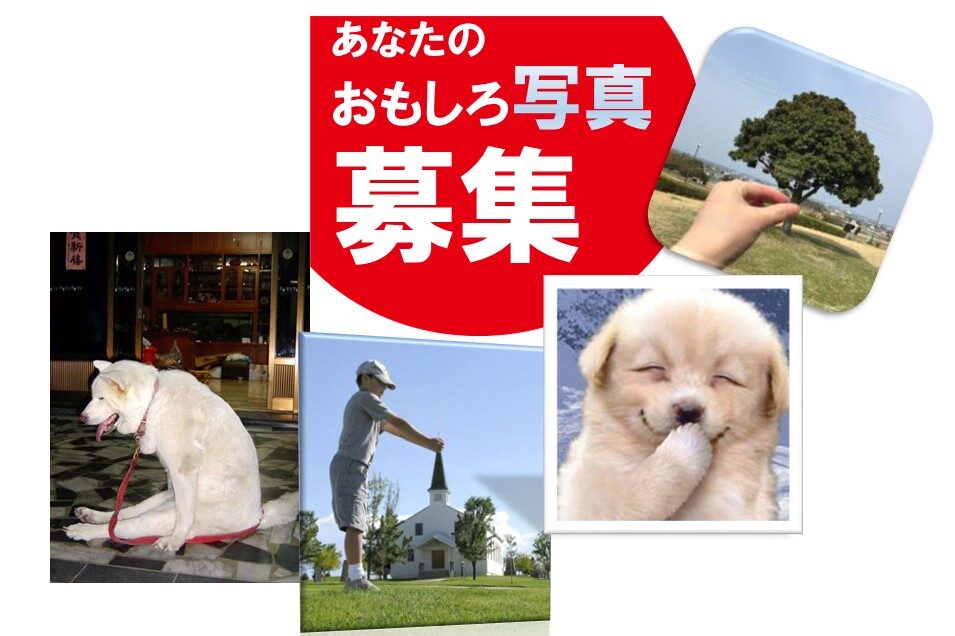 終了 おもしろ写真 募集のご案内 ラポール For Smile 情報発信サイト 終了 おもしろ写真 募集のご案内 ラポール For Smile 情報発信サイト